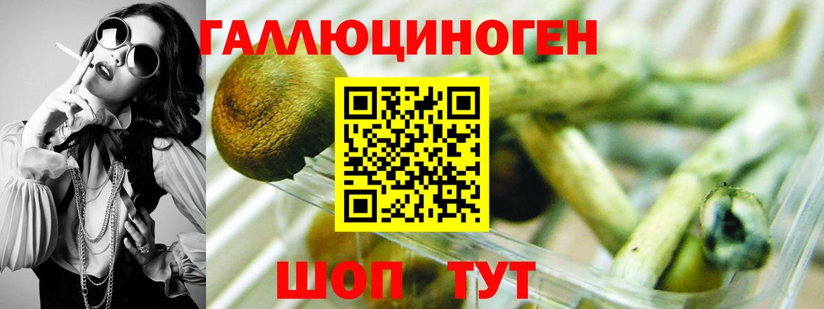 Псилоцибиновые грибы Cubensis Заречный